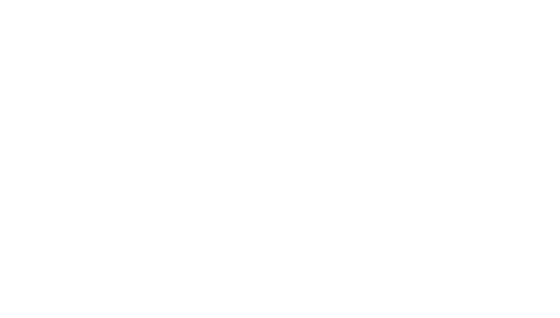 Salty Sailor Logo, a brand for Photography Presets & Photographer Education